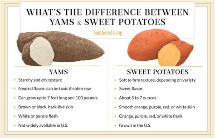 ASAP Yams Cause of Death, How did ASAP Yams Die?