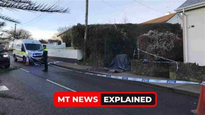 
“Juvenile Arrested for Stabbing Teen in Carrigaline Laneway” – What happened? Explained 