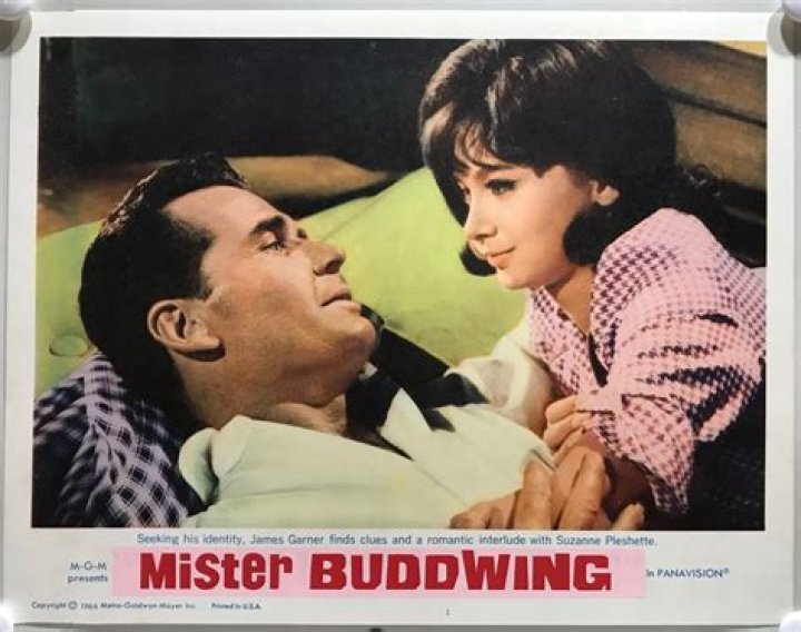 Mister Buddwing Ending Explained, Did James Garner Figure Who He Really Is?