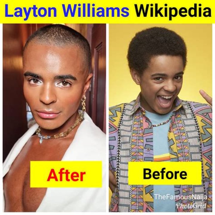 
Vikki Layton Age, Birthday, Wikipedia, Who, Nationality, Biography 