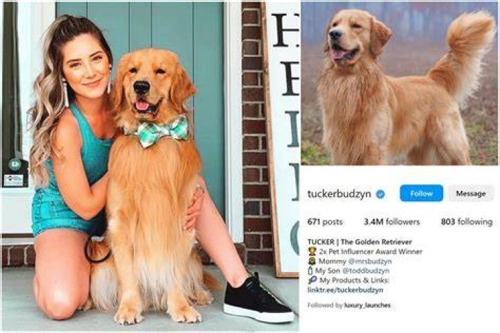 What Illness Does Courtney Budzyn Have? Everything To Know About The Youtuber