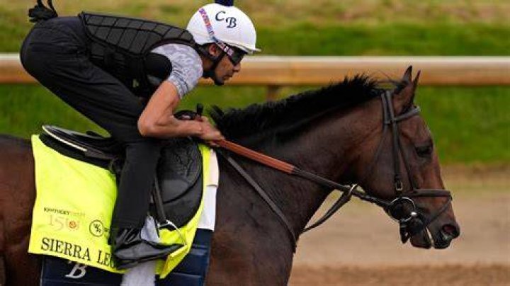 
What Was Chad Brown Trainer Arrested For? Horse Trainer To Face The Judge Over Obstruction Of Breathing 