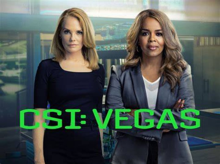 Who Is Siranoosh Sayad From CSI Las Vegas? 5 Facts On The Actress