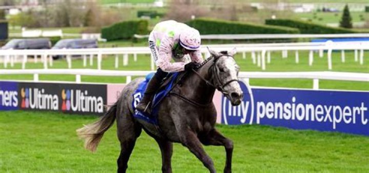 
Willie Mullins Net Worth Is In Millions As Horse Trainer, Cheltenham Festival Odds and Update 